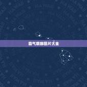 霸气貔貅图片大全，貔貅摆件怎么摆放图片大全