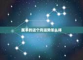 属羊的这个月运势怎么样，今年羊人每月的运程怎么样