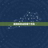 属狗桃花运在哪个方向，属狗的女人今年有桃花运吗