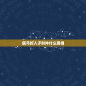 属马的人子时冲什么属相，生肖属马的与什么属相相冲？