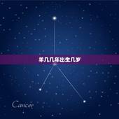 羊几几年出生几岁，羊今年多大岁数2021