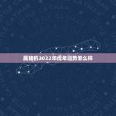 属猪的2022年虎年运势怎么样，71年属猪49和50岁命运