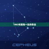 1963年属兔一生的命运，1963属兔人59岁的灾难年龄