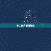 十二生肖五行婚配，十二生肖怎么分五行