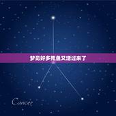 梦见好多死鱼又活过来了，梦见很多死鱼突然有一条鱼活了