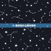 属虎和什么相冲相克，属虎的跟什么属相相冲