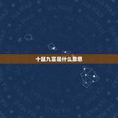 十鼠九富是什么意思，正蛇二鼠三月牛七猪八马九月羊什么意思