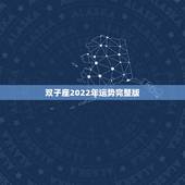 双子座2022年运势完整版，2022年双子座每月运势