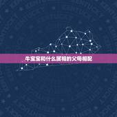 牛宝宝和什么属相的父母相配，父母属马生个牛宝宝好吗