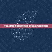 1994女狗正缘何时出现 1994年几月狗命苦