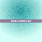 深宫曲儿子结婚怎么召见，深宫曲怎么快速拉拢大臣，立皇子为太子？