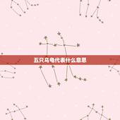 五只乌龟代表什么意思，风水学家里面养乌龟好吗养了5只好吗