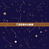 丁丑日是什么属相，戊寅是什么生肖