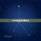 1978年马五行属什么，1978年，属什么，五行是什么