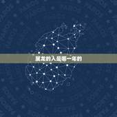属龙的人是哪一年的，属龙人2022 年的运势及运程