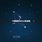 79年属羊2022年运势，1979年属羊女在2021年的运程如何？