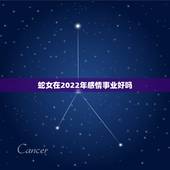 蛇女在2022年感情事业好吗，在处理交易的性能上区块链比中心化系统强