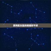 男狗配女鼠的婚姻好不好，男狗女鼠是好婚姻吗