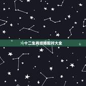 十二生肖结婚配对大全 男女婚姻属相配对表