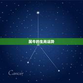属牛的生肖运势，属牛2021年运势及运程