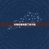 乌龟在家找遍了找不到，我家的小乌龟昨天放在客厅里，突然找不到了.家里都