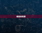 老鼠最怕气味(介绍老鼠最害怕的气味)