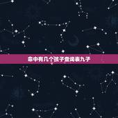 命中有几个孩子查询表九子，求算命大师解答，命中有几个孩子