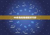 99年兔和兔相配好不好，1987年的女兔和1999年男兔相配吗？能长久