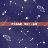 才高七斗差一升是什么属相，才高七斗差一升。什么生肖