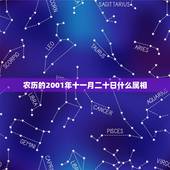 农历的2001年十一月二十日什么属相，我属鸡农历十月出生的配什么属相
