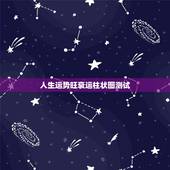 人生运势旺衰运柱状图测试，71年阴历1月29亥时出生之人一生运程
