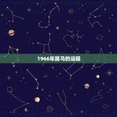 1966年属马的运程，帮忙算一下1966年属马人的命运