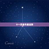 十一月金牛座运势，金牛座2014年十一月二十一日学业运势
