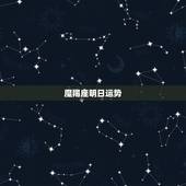 魔羯座明日运势，摩羯座后天运势