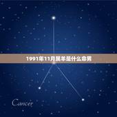 1991年11月属羊是什么命男，属羊91年11月是什么命