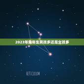 2023年兔年生男孩多还是女孩多，2023年属什么生肖2023年属相是