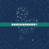 属相相合配婚幸福的有哪个，婚姻中属相合不合重要吗？