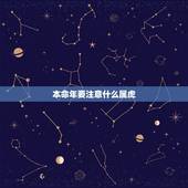 本命年要注意什么属虎，本命年的大忌属虎2022
