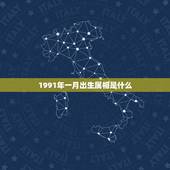 1991年一月出生属相是什么，阳历1991年1月1日出生的属相是什么？