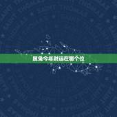 属兔今年财运在哪个位，属兔人今年的财运、事业如何