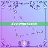 牛宝宝出生时什么属相相冲，属牛和属鼠生什么属相的孩子最好