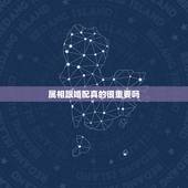 属相跟婚配真的很重要吗，属相婚配真的很重要吗？