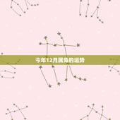 今年12月属兔的运势，今年2015属兔的运势