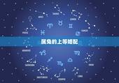 属兔的上等婚配，属兔的人和什么属相最配 属兔的人的属相婚配
