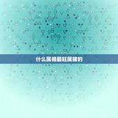 什么属相最旺属猪的，属狗和属猪谁旺谁