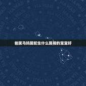 爸属马妈属蛇生什么属相的宝宝好，妈妈属蛇和爸爸属马生什么属相的宝宝好