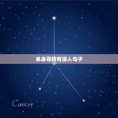 单身寻找有缘人句子，自己单身的句子