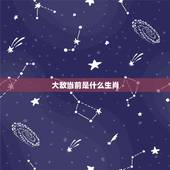 大敌当前是什么生肖，大敌当前打一生肖