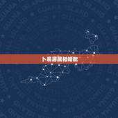 卜易居属相婚配，属龙的和什么属相最配