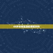 60岁的老鼠跟蛇婚配好吗，属老鼠的和属蛇的婚姻相配吗？
